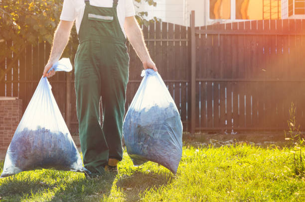 Yard Cleanup Services in Williamsville, NY